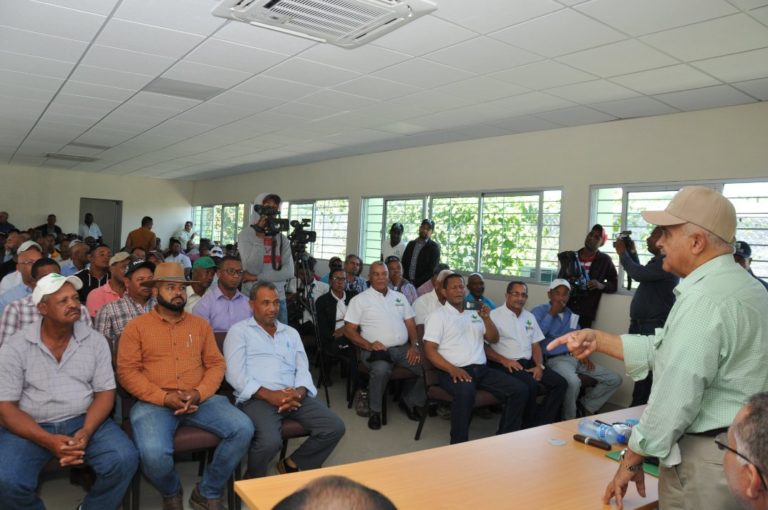 Agricultura inicia siembra de habichuela otoño-invierno en San Juan