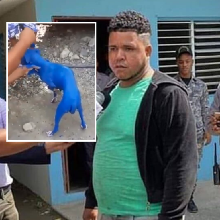 Imponen 20 mil pesos como garantía a hombre pintó de azul a su perro