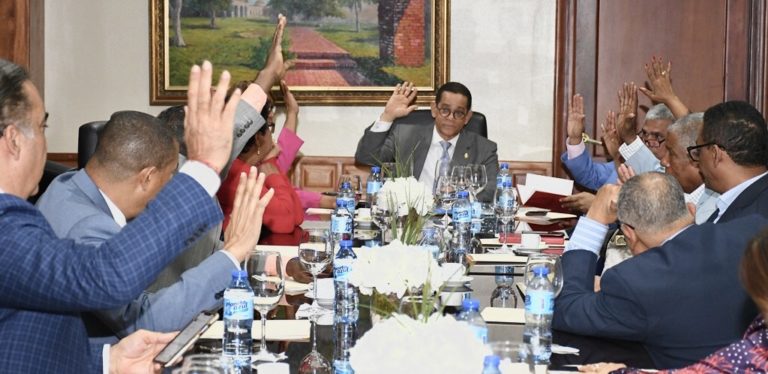 Comisión Bicameral presentará informe sobre proyecto de Ley que modifica el recargo por mora en los pagos al SDSS, fortalece la TSS y la DIDA