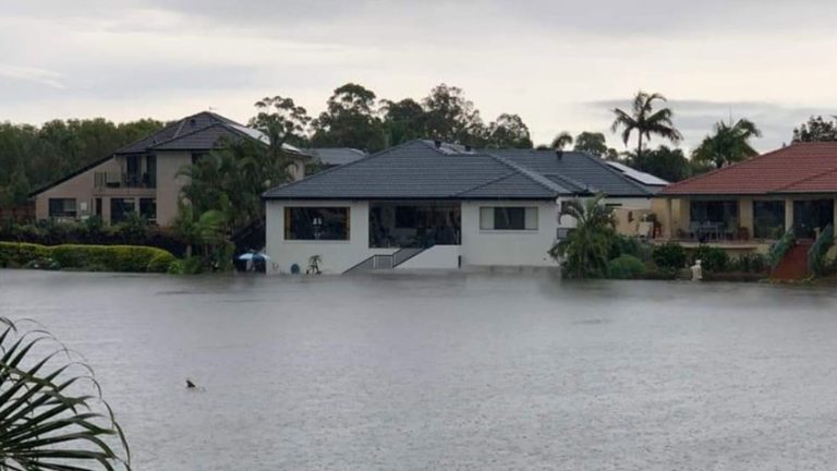 Inundaciones en Australia deja tiburones en las calles