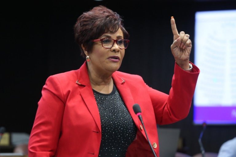Diputada Josefa Castillo: Gobierno usa COVID-19 para política a su favor al prohibir donación directa