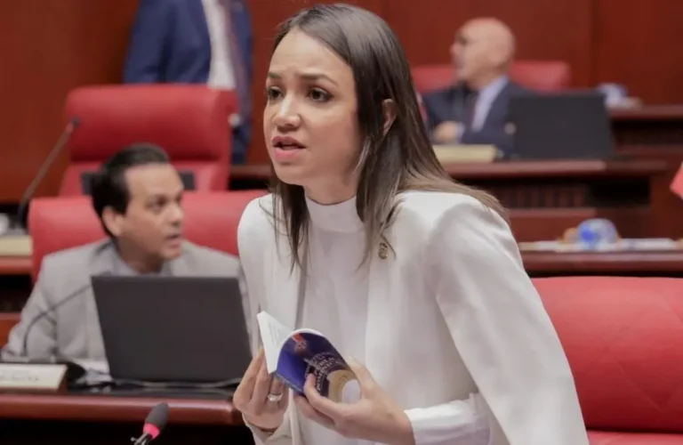 Faride Raful reiterapropósito de reelegirse