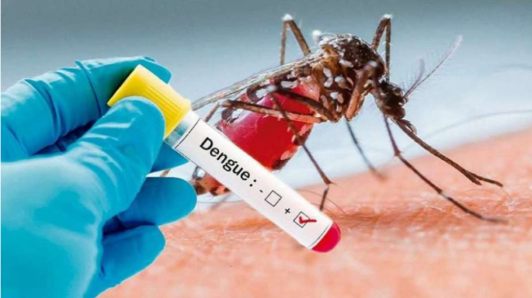 Salud Pública registra 4 fallecidos por dengue