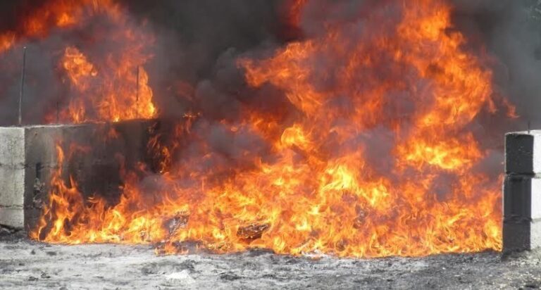 Procuraduría incineró más de 123 kilos de drogas