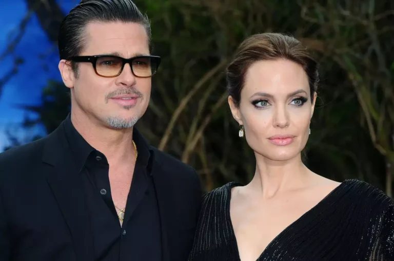 Brad Pitt gasta una fortuna en su lucha contra Angelina Jolie por viñedo francés
