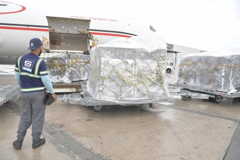 JCE despacha material electoral para las elecciones presidenciales y congresuales en el exterior