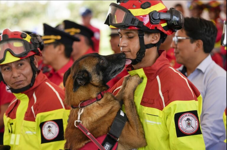 Perros bombero que ayudaron a sobrevivientes de catástrofes, homenajeados en su retirada en Ecuador