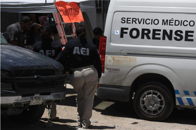 ONG documenta 31 asesinatos políticos en México en junio y 15 candidatos electos atacados