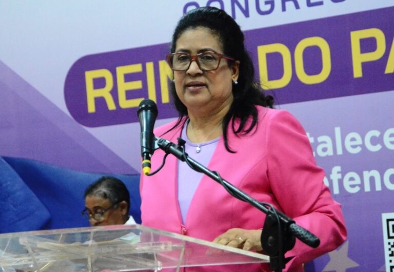 El PLD trabaja ahora en la etapa electiva del Congreso