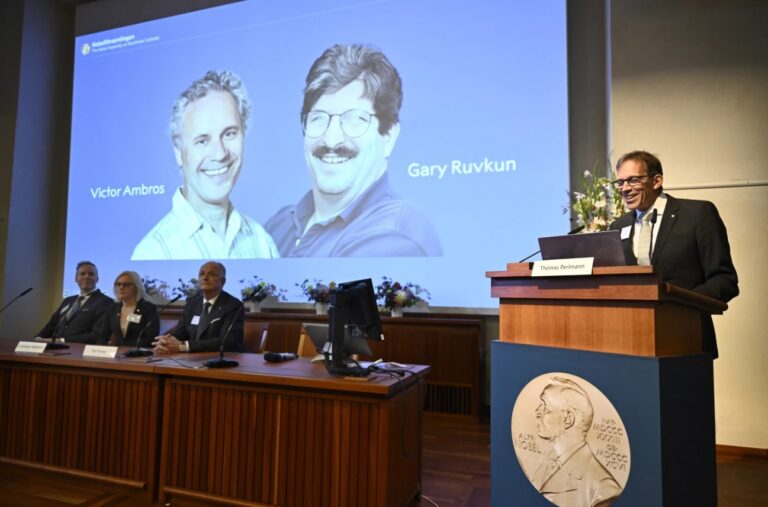 Dos estadounidenses ganan el Nobel de Medicina por su descubrimiento del microARN