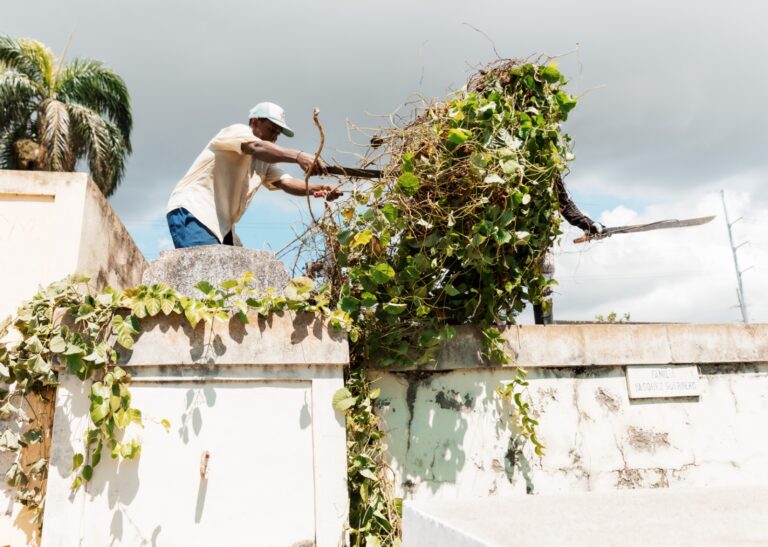Alcaldía del DN reacondiciona cementerios por el Día de los Fieles Difuntos