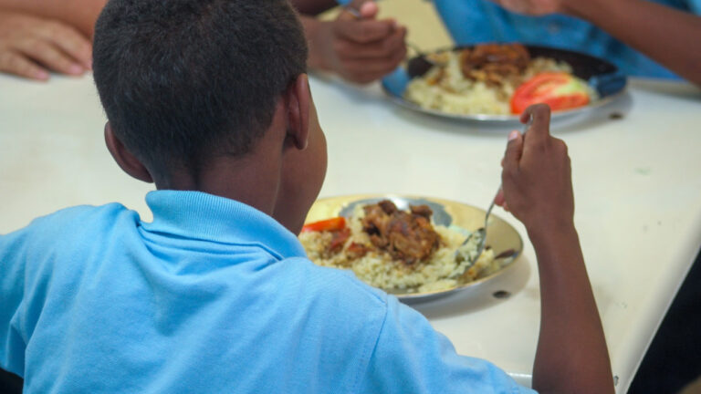 INABIE logra reducir el índice de subalimentación de 8.7% en 2020 a 3.6 en 2025 según informe  de la FAO