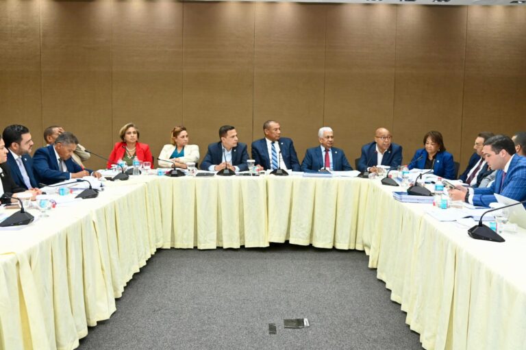 Comisión Especial que estudia el Código Penal concluye análisis y anuncia presentará informe favorable en la próxima sesión