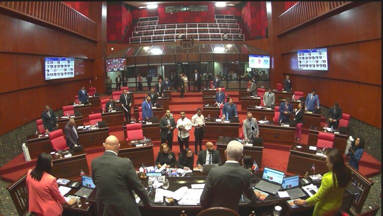 El Senado aprueba a unanimidad, de pie y en primera lectura, el Código Penal de la República Dominicana