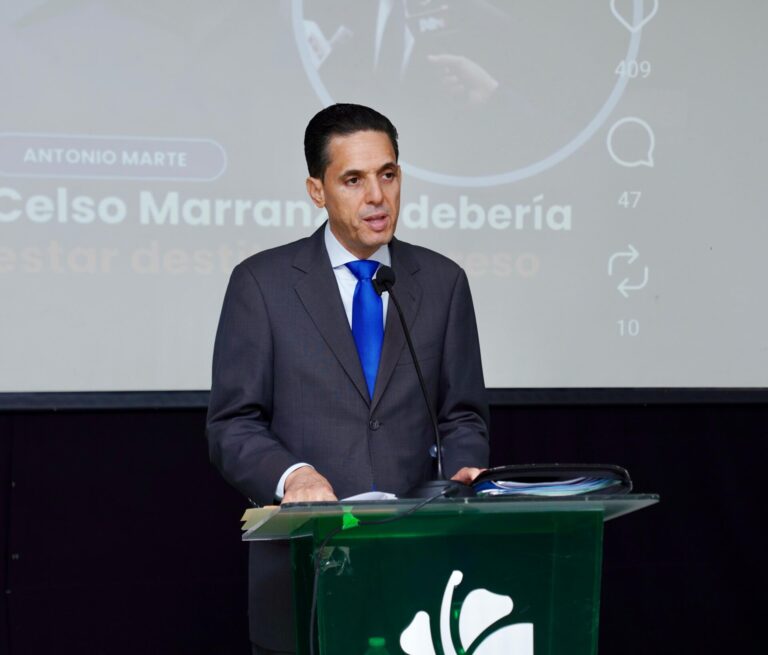 Fuerza del Pueblo exige declarar en emergencia el sector eléctrico y plantea reducción de pérdidas en las EDES