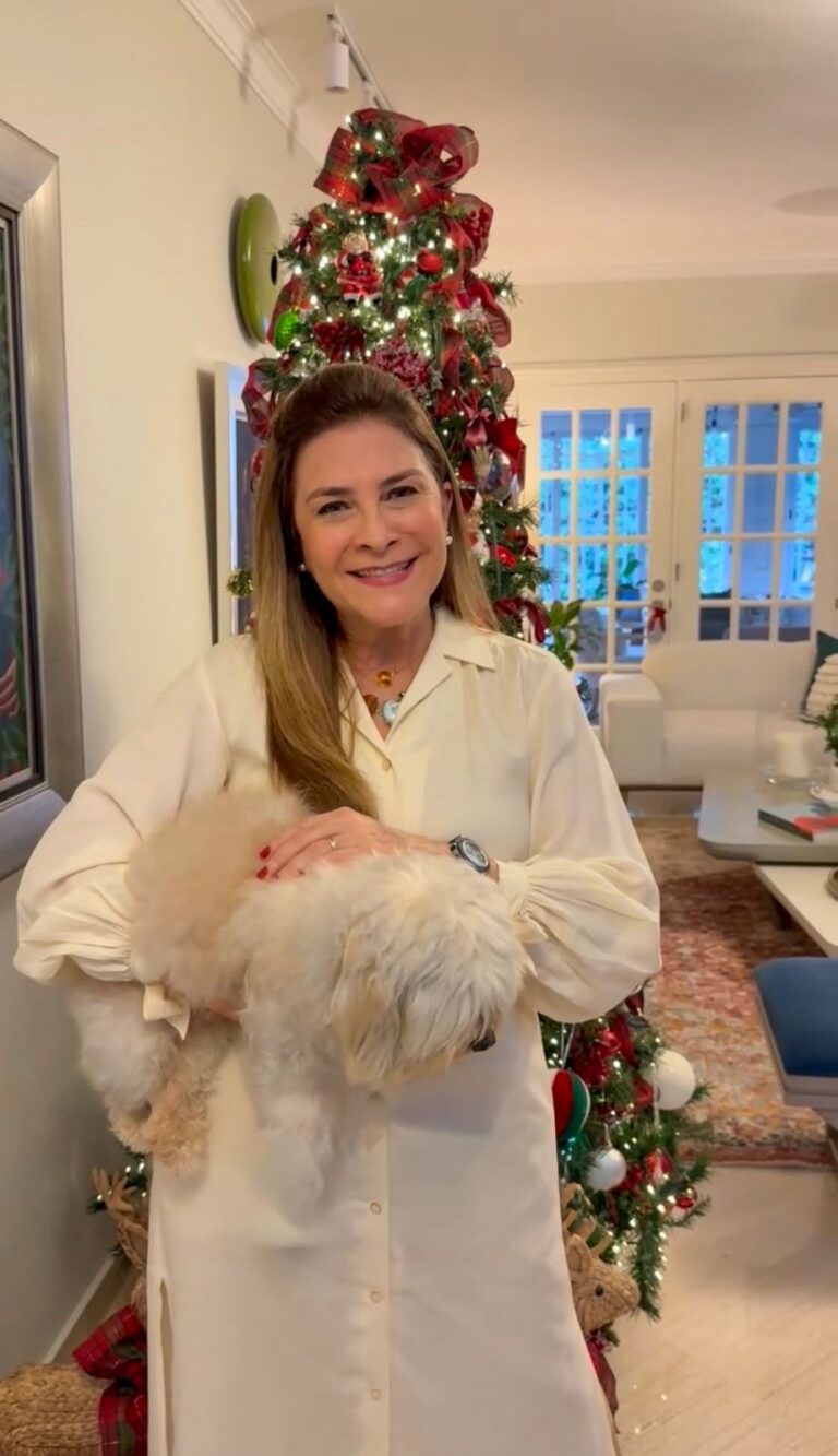 Carolina anuncia que sexta edición de Plásticos por Juguetes se realizará el 11 de enero