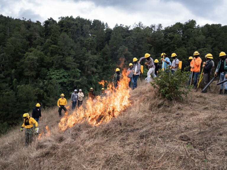 Sur Futuro fortalece brigadas voluntarias de control de incendios forestales  
