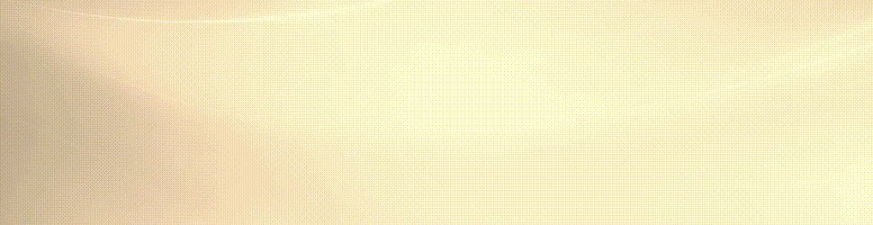 Cintillos Prensa (970 x 250 px)