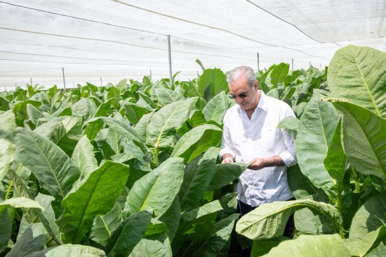 Presidente Abinader visita finca tabacalera “La Milagrosa” de Arturo Fuente en Monte Plata para replicar su moderna y avanzada tecnología en otras partes del país en la producción de capa